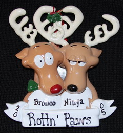 bronc n ninny